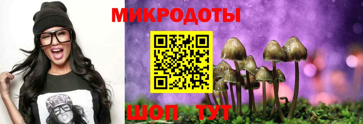 Галлюциногенные грибы Cubensis Выкса