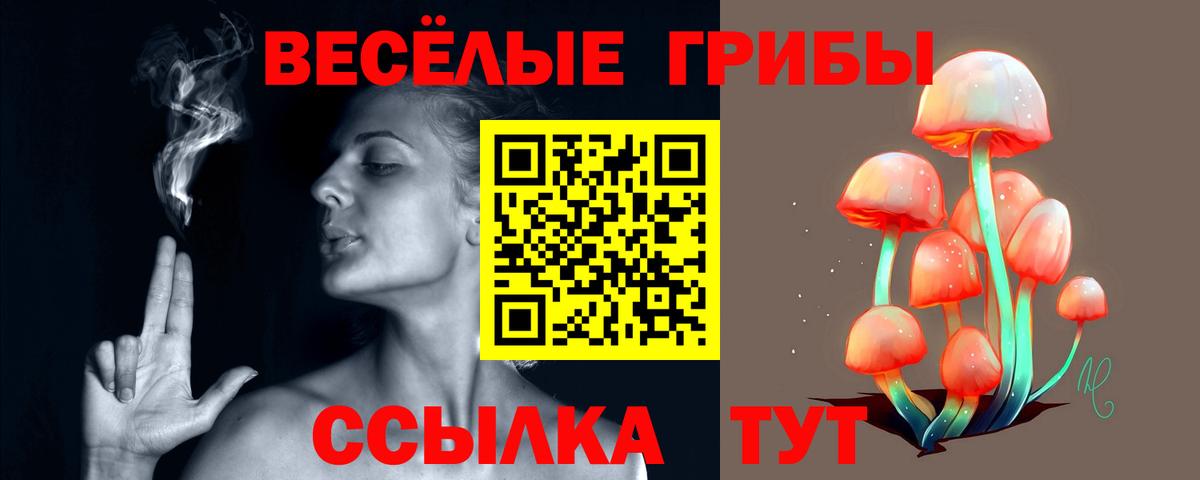 Выкса  Галлюциногенные грибы Magic Shrooms  наркошоп  Вход с VPN 